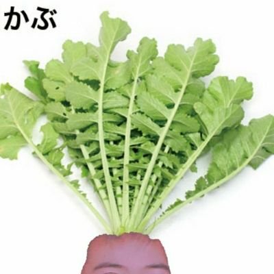 MAMONTOV☆さんのプロフィール画像