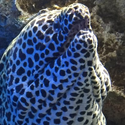 Ee5uNp's profile picture. 日々の生活をつぶやきたい。