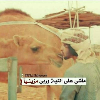 AimerAbn's profile picture. ‏شخص قلت اللهم ادخلني مدخل صدق واخرجني مخرج صدق واجعل لي من لدنك سلطانا نصيرا