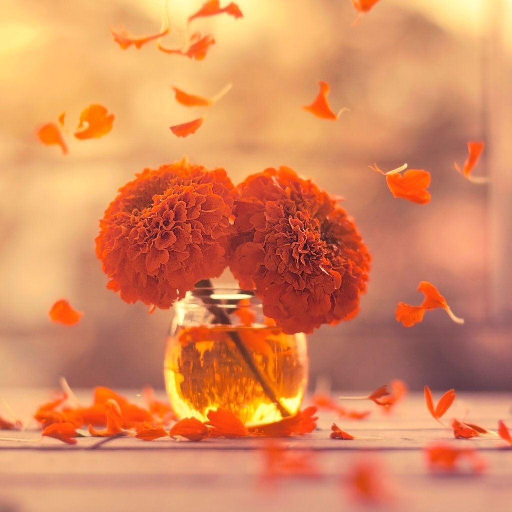 Amikuma9293's profile picture. 無言フォローすいません。 アニメ、ボカロ、刀剣乱舞 大好きです！よろしくお願いします！