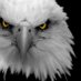 Mohamed R Els (@mohamedsawah777) Twitter profile photo Mohamed R Els (@mohamedsawah777) Twitter profile photo
