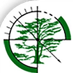 Cedarwood Tree Care is a practice of tree consultants who provide technical advice and support for a range of situations.