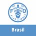 FAO Brasil (@FAOBrasil) Twitter profile photo