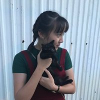 iHunicorn🦄 (@heannay) 's Twitter Profile Photo iHunicorn🦄 (@heannay) 's Twitter Profile Photo