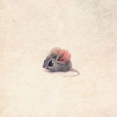 MChristyy's profile picture. They call me Xty