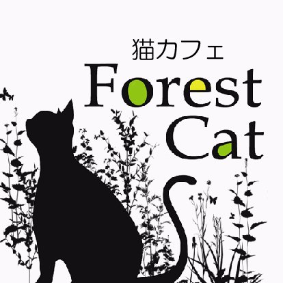 秋田市太平にある猫カフェ「Forest Cat」の公式アカウントです。お店の情報等つぶやきます🐈‍⬛ 【定休日:水曜日】【営業時間10:30 - 17:00 (LO16:30)】【🌱4/1より営業再開中】【動-19-44】