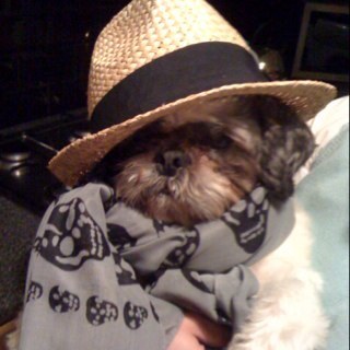 Weekendwinddown's profile picture. listen every friday online at 5pm. We are foolish in order to win your love.