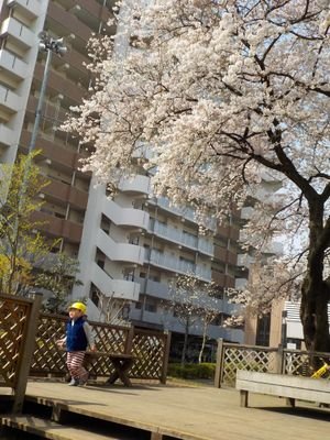 息子の療育施設で事務とドライバーしてます^_^
今年離婚
50歳間近にして、二人の子どもを一人で育てています
発達障害に役立つ情報を発信しています