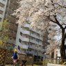 hattatsuryoiku's profile picture. 息子の療育施設で事務とドライバーしてます^_^
今年離婚
50歳間近にして、二人の子どもを一人で育てています
発達障害に役立つ情報を発信しています