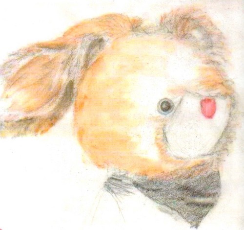 Drunk_Rabbit's profile picture. Ordinary stuffed Rabbit with a drinking problem