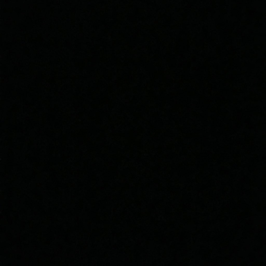 shanterria_w