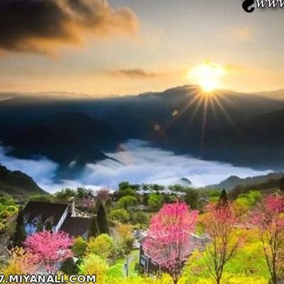 ‏از اعضای شن ها هستم. شبکه نیروهای هنری-رسانه ای ارزشی به آدرس ‎@shenha_ir