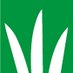 DLF Seeds UK (@dlfseeds_uk) Twitter profile photo DLF Seeds UK (@dlfseeds_uk) Twitter profile photo