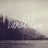 WanderlustTal's profile image