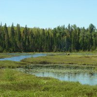 Landscape Science & Technology Division(@LandSciTech) 's Twitter Profile Photo