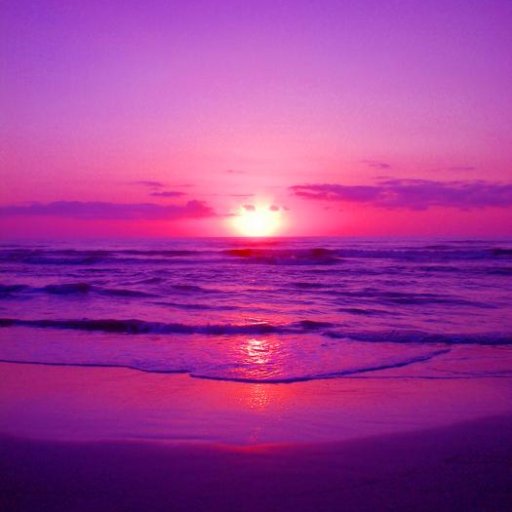 277Ariana's profile picture. 