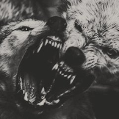 DMTH_RPG's profile picture. Bâton-Rouge, 2017.
Une ville criminelle, une ville moderne, une ville centrale, une ville  pleine de superstition et de magie.