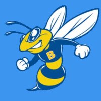 BradleyElemBeehive (@bradleybeehive) 's Twitter Profile