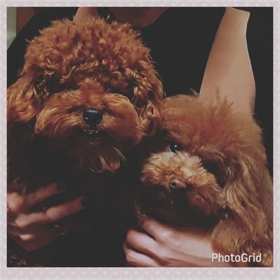 steelkitten101's profile picture. *大阪*独女*
*ＦＴＲ２２３*バイク女子*大爆走エンジェル*
*バイク仲間募集*ツーリング仲間募集*
*カメラ女子見習い*

メインはInstagram→kaholina