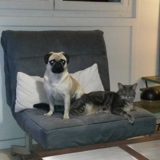 Annick90's profile picture. 