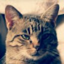 Daniel Gölzer - @Danielglzer1002 - Twitter