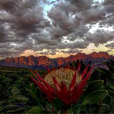 sjdevilliers's profile picture. 