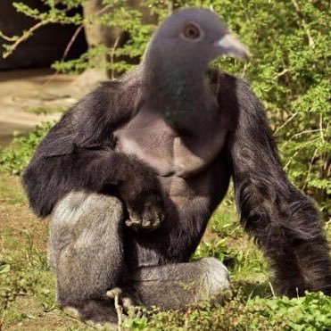 鳩 Glutamine Nico 何かを掴んで寝る人たとえば布団だったり抱き枕だったり 背中を丸めて寝る 人は根は甘えん坊の寂しがり屋って話なら聞いたことある 鳩 Glutamine Nico 何かを掴んで寝る人たとえば布団だったり抱き枕だったり 背中を丸めて寝る 人は根は甘えん坊の寂しがり屋って話なら聞いたことある