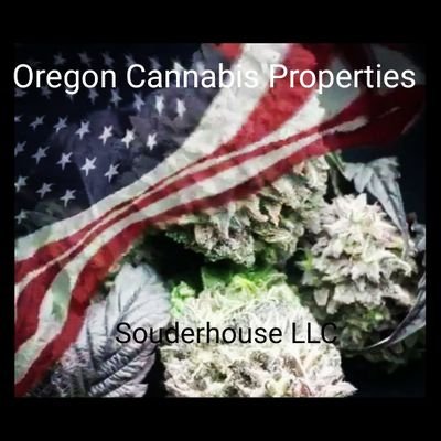 Cannabisproper2's profile picture. We strive to give people a opportunity of a life time. We not only help people find a home, but we also help then see a huge investment opportunities if wanted.