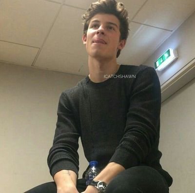 muffinshawn0's profile picture. Mendes Army👑//
SHAWN MENDES😍// Argentina needs Shawn Mendes// Shawn potraso