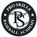 Pro Skills Baseball (@PSbaseball44) Twitter profile photo