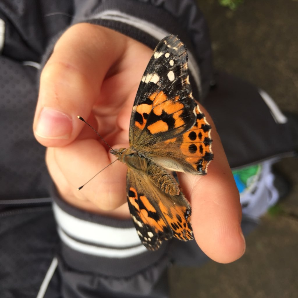 x_Chelle_x's profile picture. If at first you don't succeed, skydiving is probably not for you! #MCFC