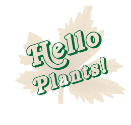 helloplants's profile picture. 