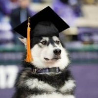 Max Vrooman (@uwdp_maxvroom) 's Twitter Profile