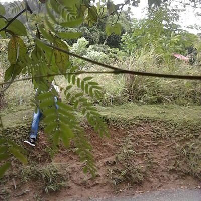 oreyo_evans's profile picture. When a student learns evolution in history and creation in religious education, which theory do you expect the learner to believe to be true.