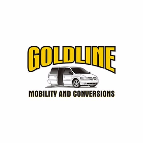 Scooter/Wheelchair Lifts, Driving Controls, Special Seats, Conversion/Mobility Vehicles