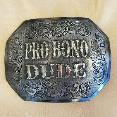 ProBonoDude Profile Picture