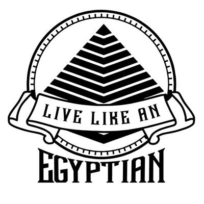 Learn to speak like a native Egyptian through everyday life.