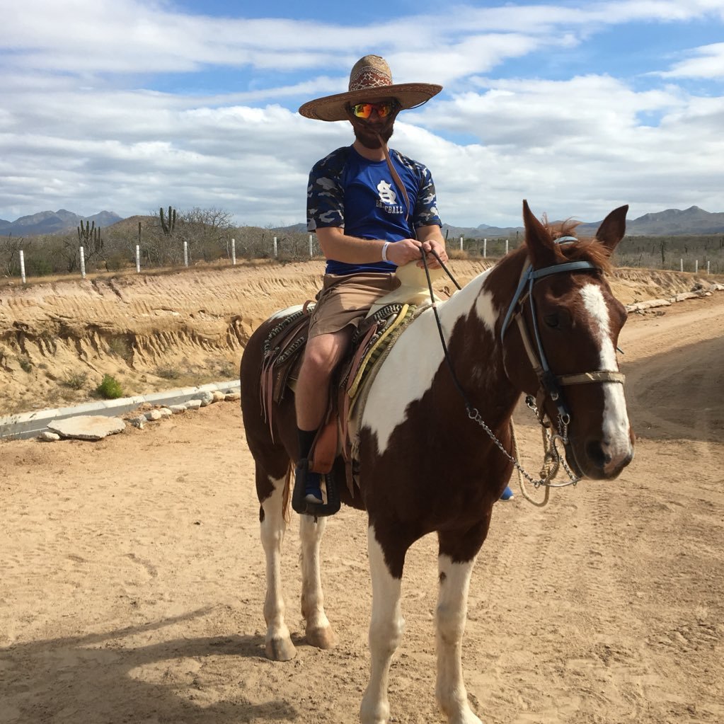 AWebie's profile picture. 🌲☔️🌲