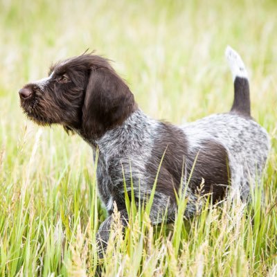 2C Photography by Andrea Clarke brings you scenes from the Canadian Prairies. Prints are available!