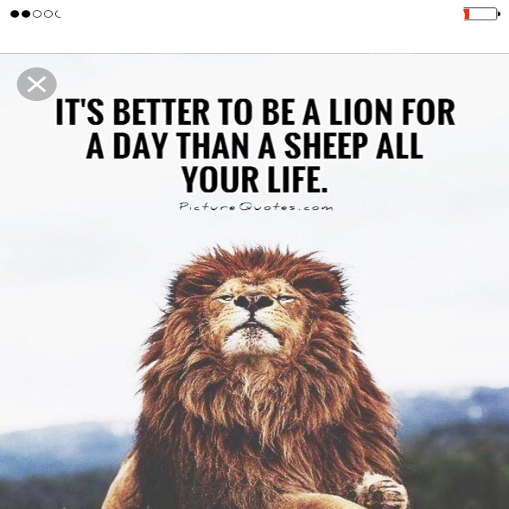 therealMJStritz's profile picture. 