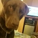 Tim Lewellen - @timlewellen - Twitter