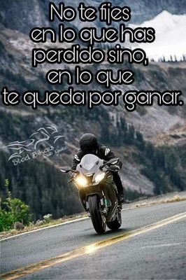 LuisRay09635477's profile picture. Mi locura