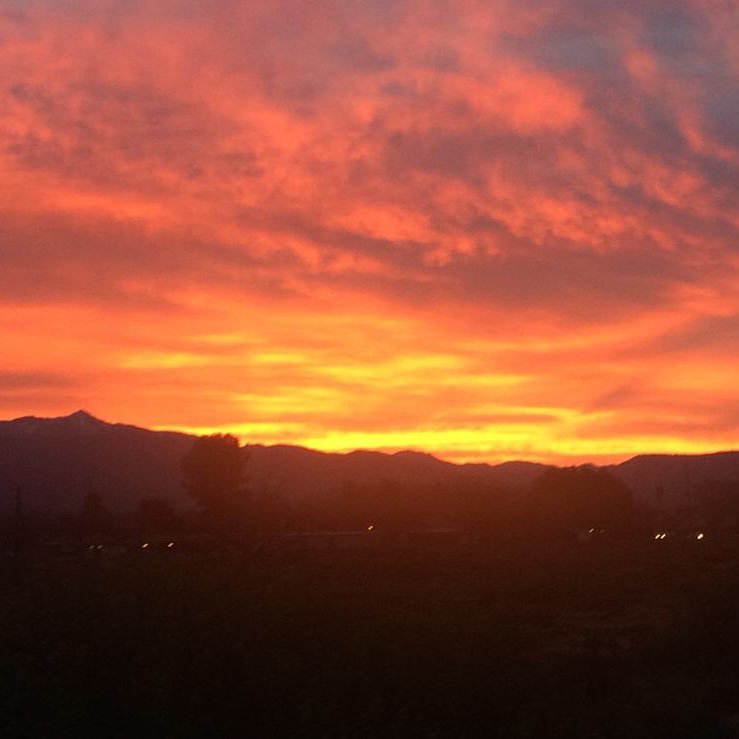 dustyinca's profile picture. 