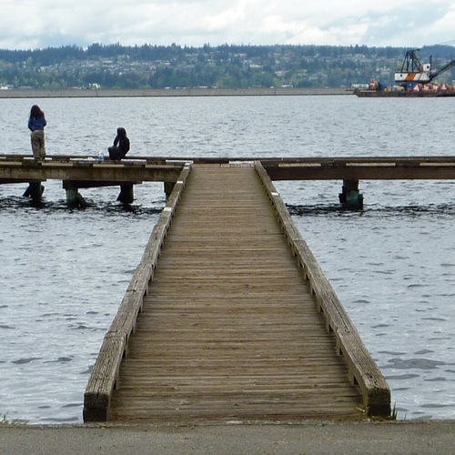 The twitter account for the neighborhood blog My Mount Baker