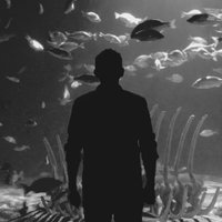 Alex Cano (@alexcanod) 's Twitter Profile Photo