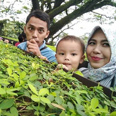 ornascharming's profile picture. 