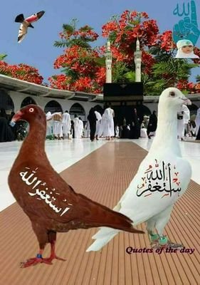 4hyvcqVBOC8dpyI's profile picture. الاقتصاد