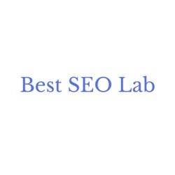 bestseolab's profile picture. 