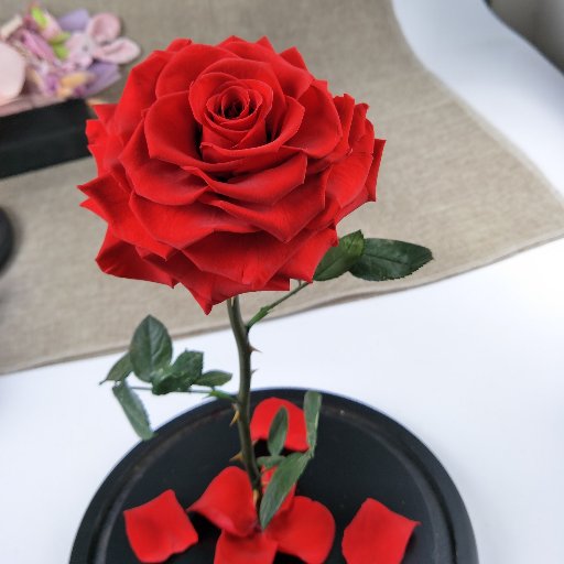 Specializing in manufacturing and selling preserved flowers and preserved flowers crafts products. Please visit our web: https://t.co/WDHHQBYLA4.