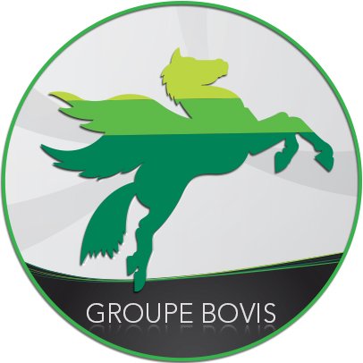 GROUPE BOVIS Profile